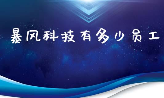 暴风科技有多少员工_https://m.kuaijiepai.net_货币基金_第1张