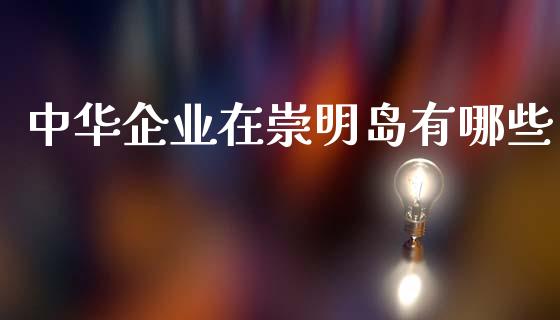 中华企业在崇明岛有哪些_https://m.kuaijiepai.net_资产证券化_第1张