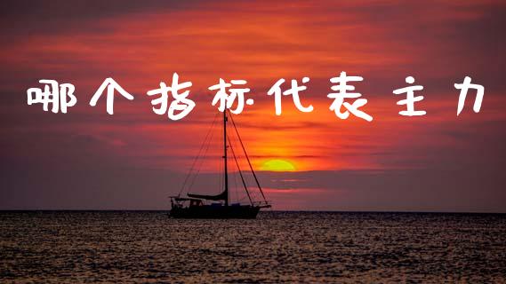 哪个指标代表主力_https://m.kuaijiepai.net_货币基金_第1张