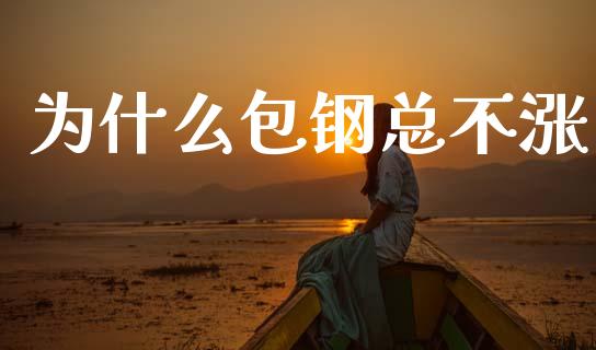 为什么包钢总不涨_https://m.kuaijiepai.net_债券投资_第1张