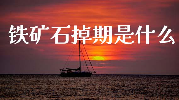 铁矿石掉期是什么_https://m.kuaijiepai.net_货币基金_第1张