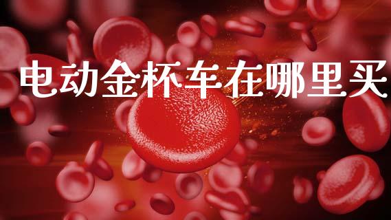 电动金杯车在哪里买_https://m.kuaijiepai.net_股票交易_第1张