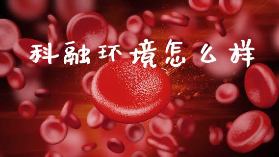 科融环境怎么样_https://m.kuaijiepai.net_债券投资_第1张
