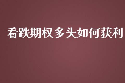 看跌期权多头如何获利_https://m.kuaijiepai.net_货币基金_第1张