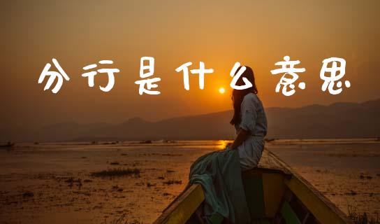 分行是什么意思_https://m.kuaijiepai.net_资产证券化_第1张