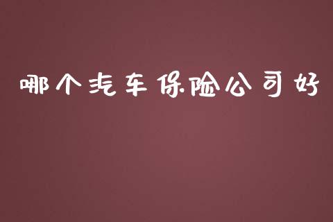 哪个汽车保险公司好_https://m.kuaijiepai.net_资产证券化_第1张