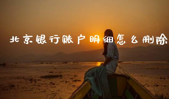 北京银行账户明细怎么删除_https://m.kuaijiepai.net_货币基金_第1张