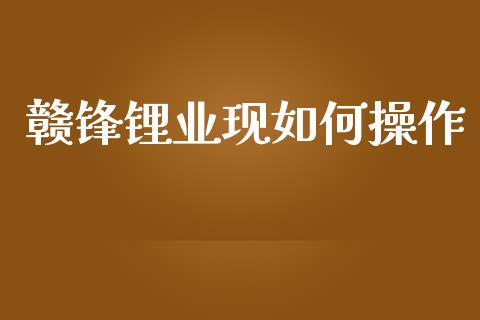 赣锋锂业现如何操作_https://m.kuaijiepai.net_股票交易_第1张
