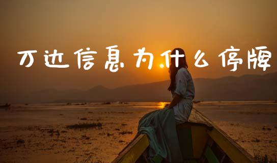 万达信息为什么停牌_https://m.kuaijiepai.net_资产证券化_第1张