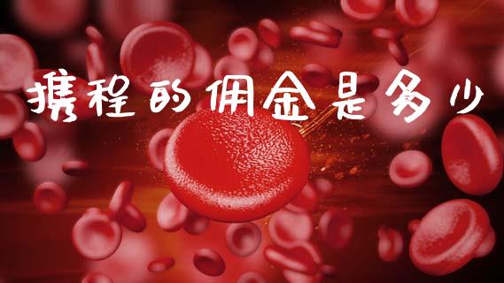携程的佣金是多少_https://m.kuaijiepai.net_债券投资_第1张