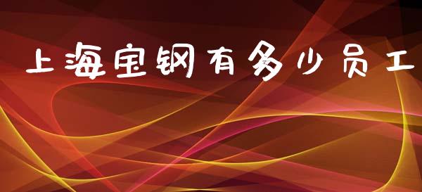 上海宝钢有多少员工_https://m.kuaijiepai.net_股票交易_第1张