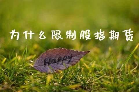 为什么限制股指期货_https://m.kuaijiepai.net_货币基金_第1张