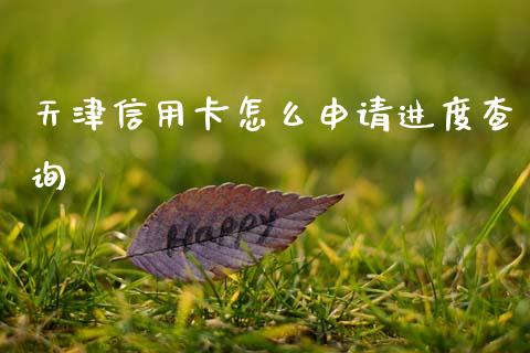 天津信用卡怎么申请进度查询_https://m.kuaijiepai.net_货币基金_第1张