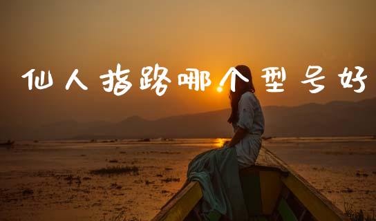仙人指路哪个型号好_https://m.kuaijiepai.net_债券投资_第1张