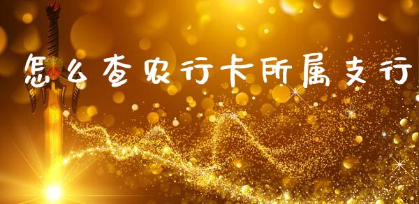 怎么查农行卡所属支行_https://m.kuaijiepai.net_货币基金_第1张