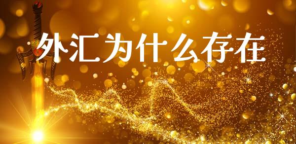 外汇为什么存在_https://m.kuaijiepai.net_债券投资_第1张