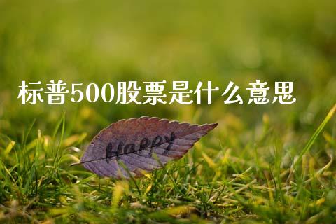 标普500股票是什么意思_https://m.kuaijiepai.net_货币基金_第1张