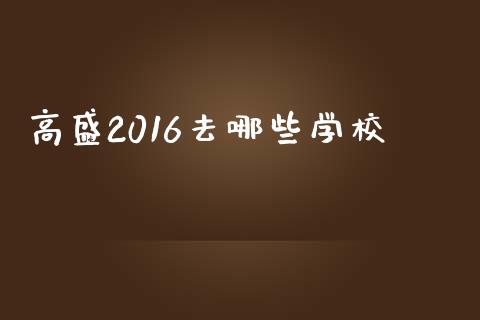 高盛2016去哪些学校_https://m.kuaijiepai.net_货币基金_第1张
