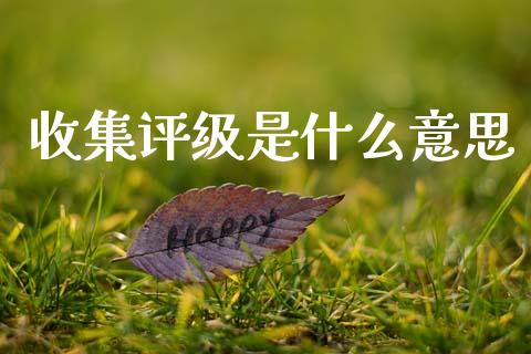 收集评级是什么意思_https://m.kuaijiepai.net_货币基金_第1张