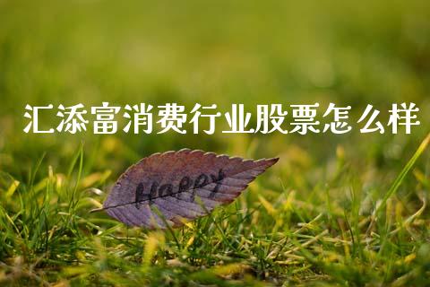 汇添富消费行业股票怎么样_https://m.kuaijiepai.net_股票交易_第1张