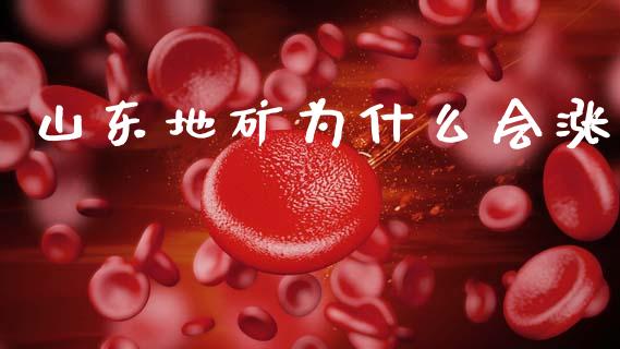 山东地矿为什么会涨_https://m.kuaijiepai.net_债券投资_第1张