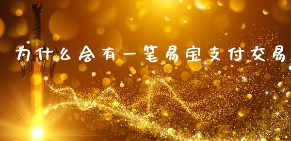 为什么会有一笔易宝支付交易_https://m.kuaijiepai.net_股票交易_第1张