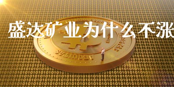 盛达矿业为什么不涨_https://m.kuaijiepai.net_股票交易_第1张