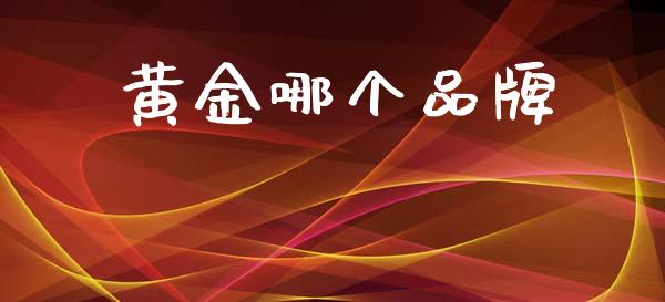 黄金哪个品牌_https://m.kuaijiepai.net_债券投资_第1张