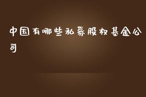 中国有哪些私募股权基金公司_https://m.kuaijiepai.net_债券投资_第1张