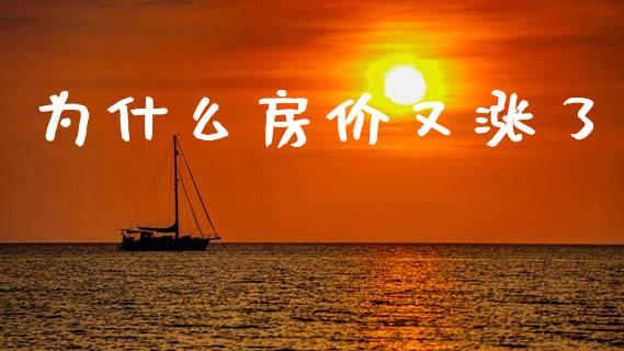 为什么房价又涨了_https://m.kuaijiepai.net_货币基金_第1张