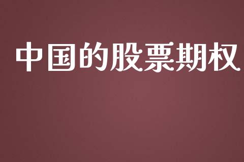 中国的股票期权_https://m.kuaijiepai.net_货币基金_第1张