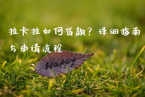 拉卡拉如何贷款？详细指南与申请流程_https://m.kuaijiepai.net_资产证券化_第1张