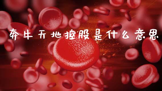 奔牛天地控股是什么意思_https://m.kuaijiepai.net_资产证券化_第1张