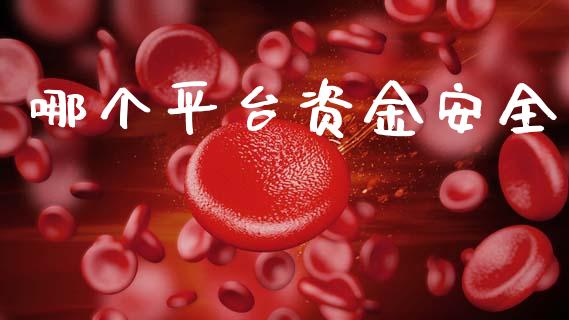 哪个平台资金安全_https://m.kuaijiepai.net_货币基金_第1张