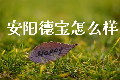 安阳德宝怎么样_https://m.kuaijiepai.net_货币基金_第1张