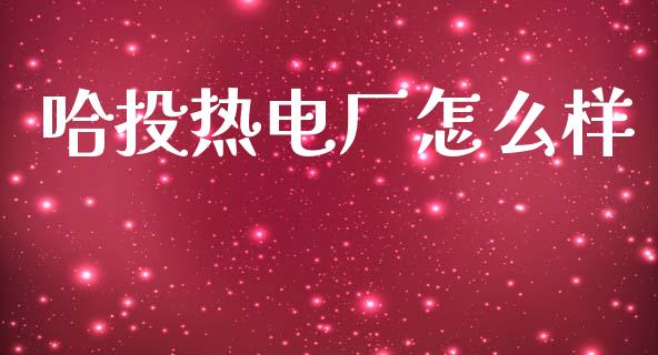 哈投热电厂怎么样_https://m.kuaijiepai.net_股票交易_第1张