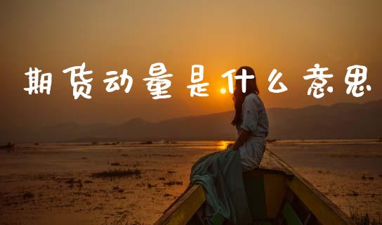 期货动量是什么意思_https://m.kuaijiepai.net_债券投资_第1张