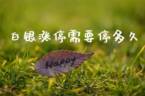 白银涨停需要停多久_https://m.kuaijiepai.net_资产证券化_第1张