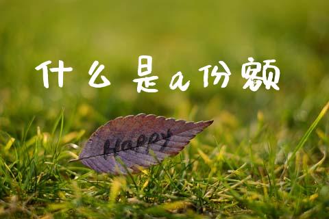 什么是a份额_https://m.kuaijiepai.net_股票交易_第1张