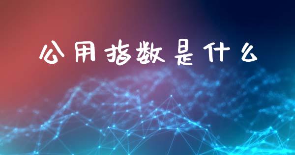 公用指数是什么_https://m.kuaijiepai.net_资产证券化_第1张