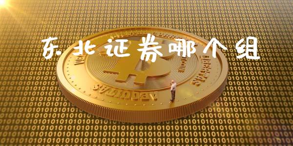 东北证券哪个组_https://m.kuaijiepai.net_债券投资_第1张