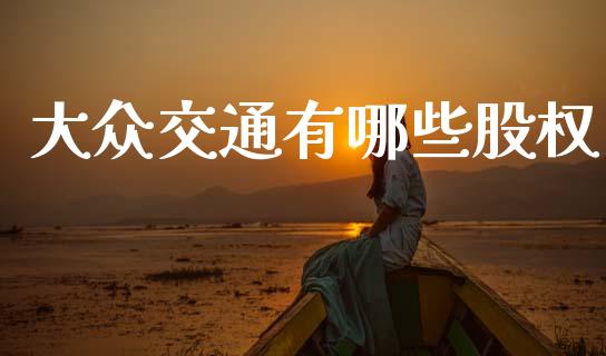 大众交通有哪些股权_https://m.kuaijiepai.net_货币基金_第1张