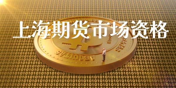 上海期货市场资格_https://m.kuaijiepai.net_资产证券化_第1张