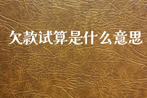 欠款试算是什么意思_https://m.kuaijiepai.net_资产证券化_第1张