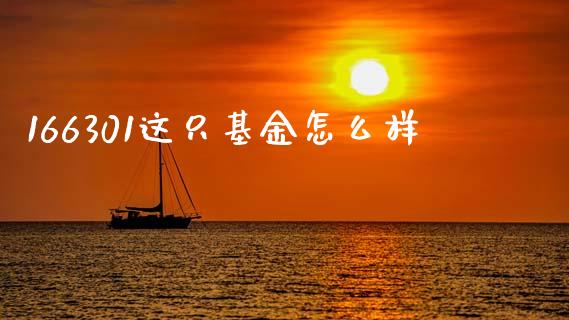 166301这只基金怎么样_https://m.kuaijiepai.net_资产证券化_第1张