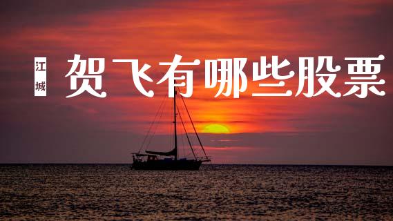 谌贺飞有哪些股票_https://m.kuaijiepai.net_资产证券化_第1张