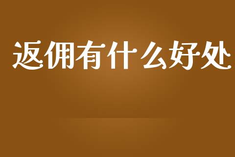 返佣有什么好处_https://m.kuaijiepai.net_债券投资_第1张