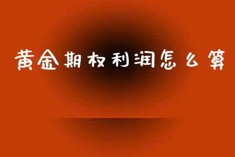 黄金期权利润怎么算_https://m.kuaijiepai.net_股票交易_第1张