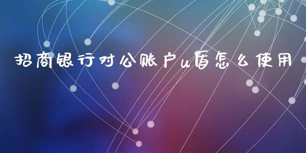 招商银行对公账户u盾怎么使用_https://m.kuaijiepai.net_资产证券化_第1张