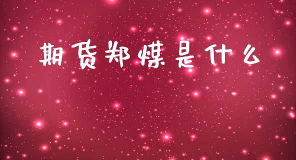 期货郑煤是什么_https://m.kuaijiepai.net_债券投资_第1张